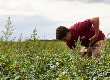 Cold Press Organic Juice – Organic Farming
