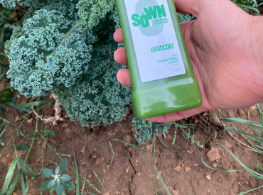 Juice Cleanse Guide Part 2; Your Cleanse Journey