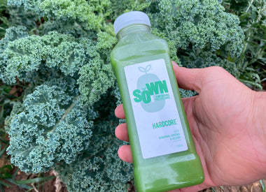 Juice Cleanse Guide Part 2; Your Cleanse Journey