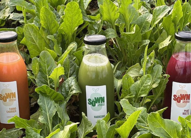 The Future Of Organic Pressed Juice